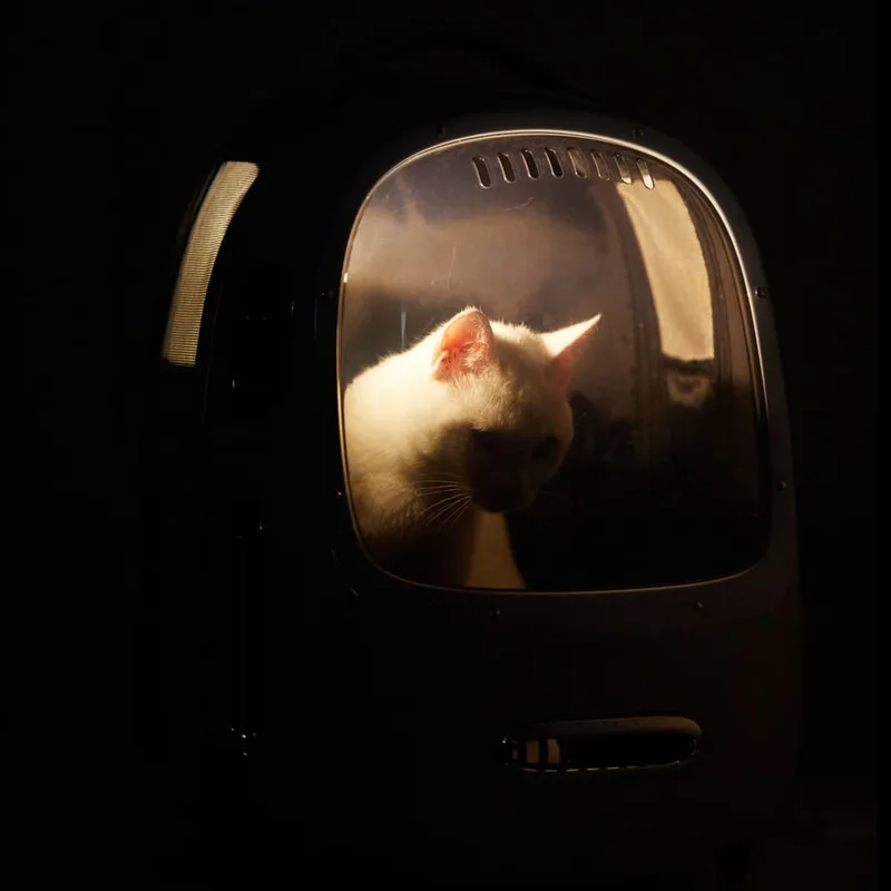 Petkit Breezy 2 Smart Cat Carrier Camo (P7704)